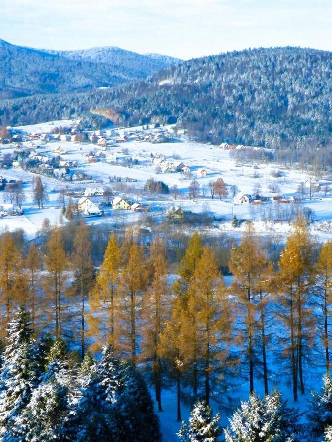 Osrodek Uzdrowiskowy Beskid Wysowa-Zdroj Exterior photo